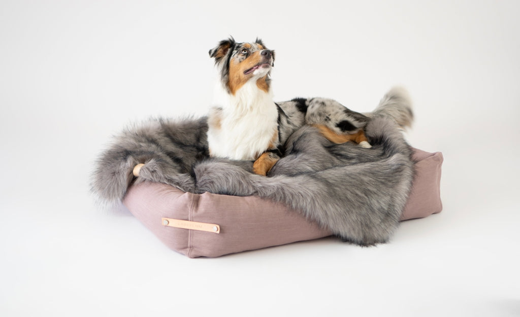 Föra | Couverture greige double face douce et chaude pour chien - Jean - Poil - Greige