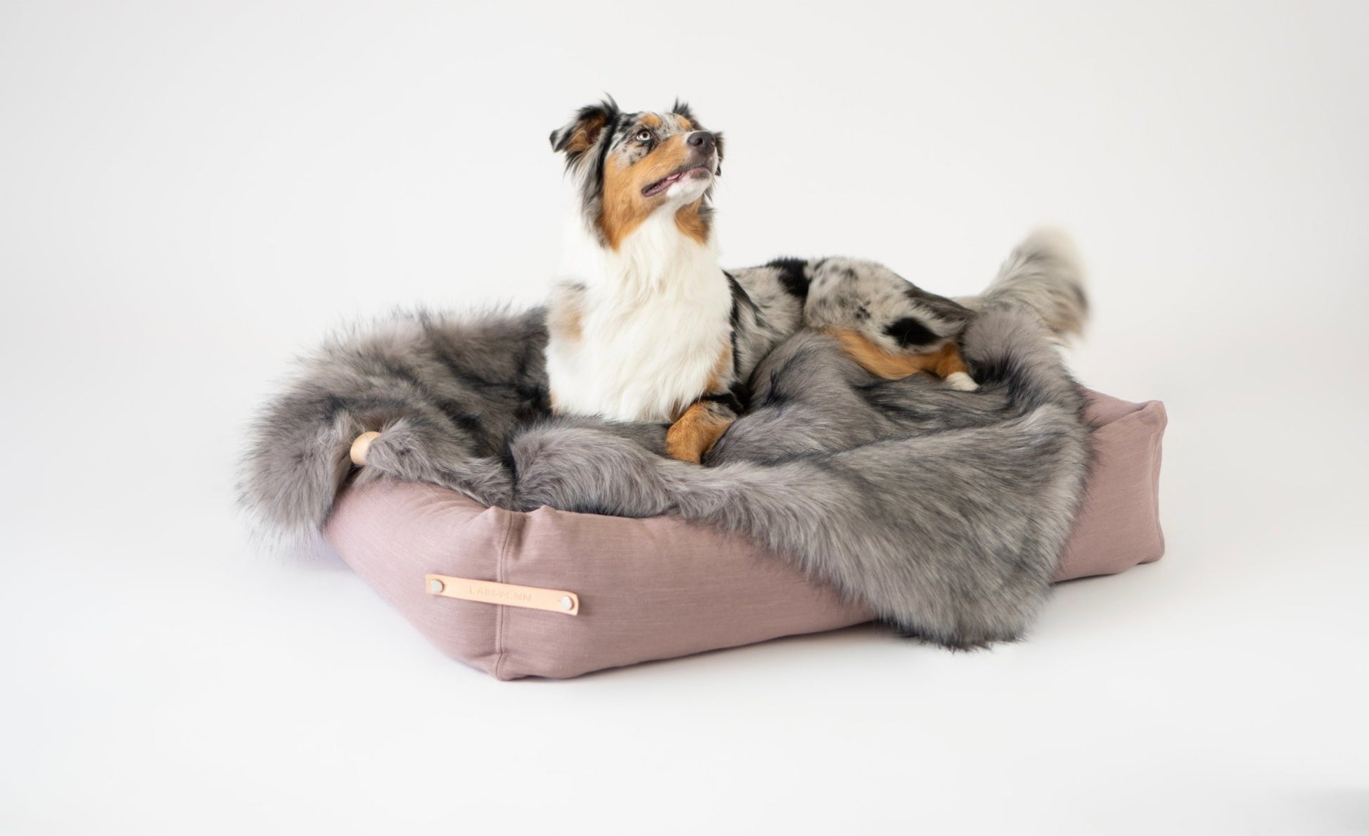 Föra | Couverture greige double face douce et chaude pour chien - Jean - Poil - Greige