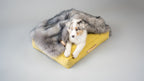Föra | Couverture greige double face douce et chaude pour chien - Jean - Poil - Greige