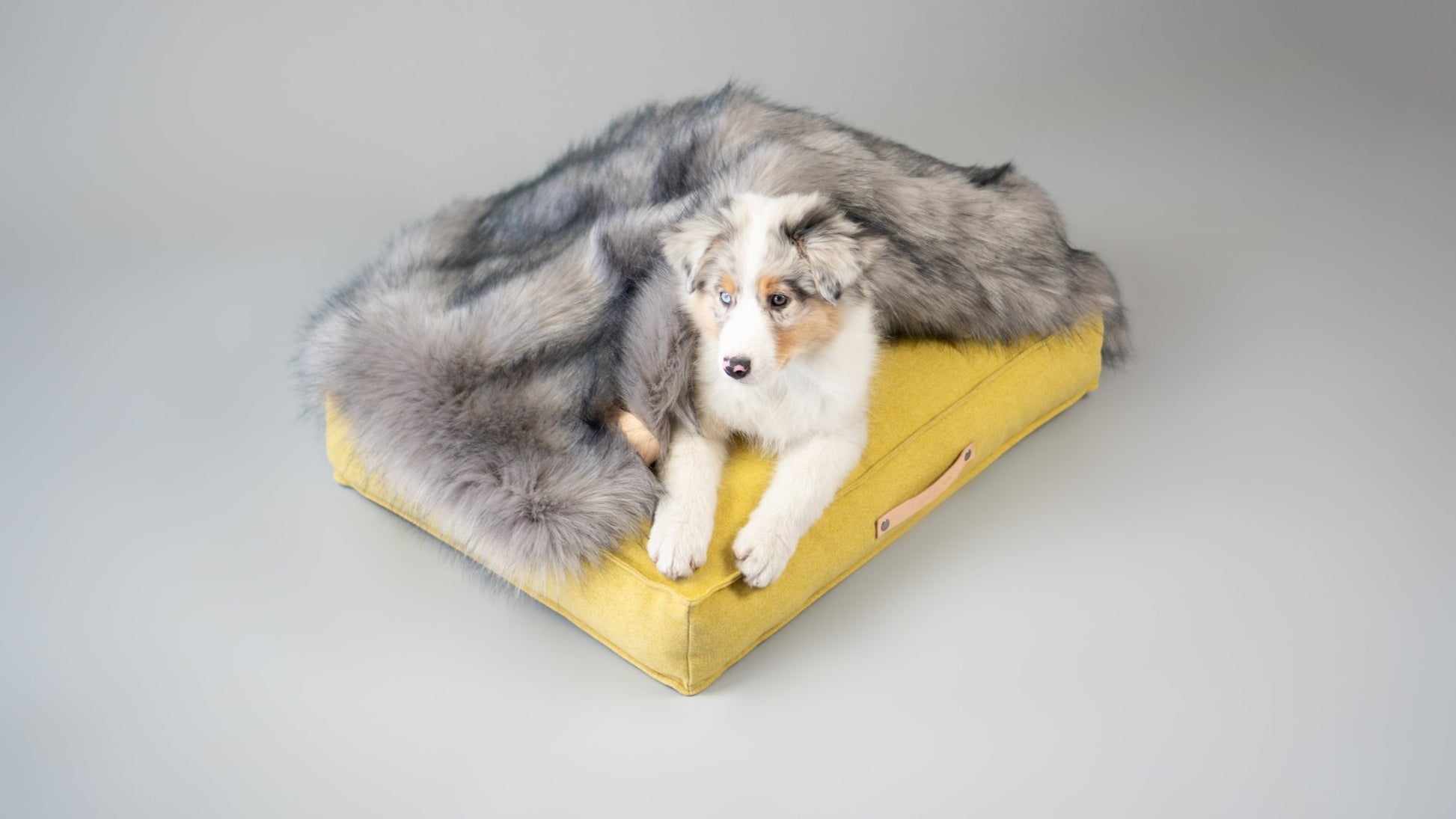 Föra | Couverture greige double face douce et chaude pour chien - Jean - Poil - Greige