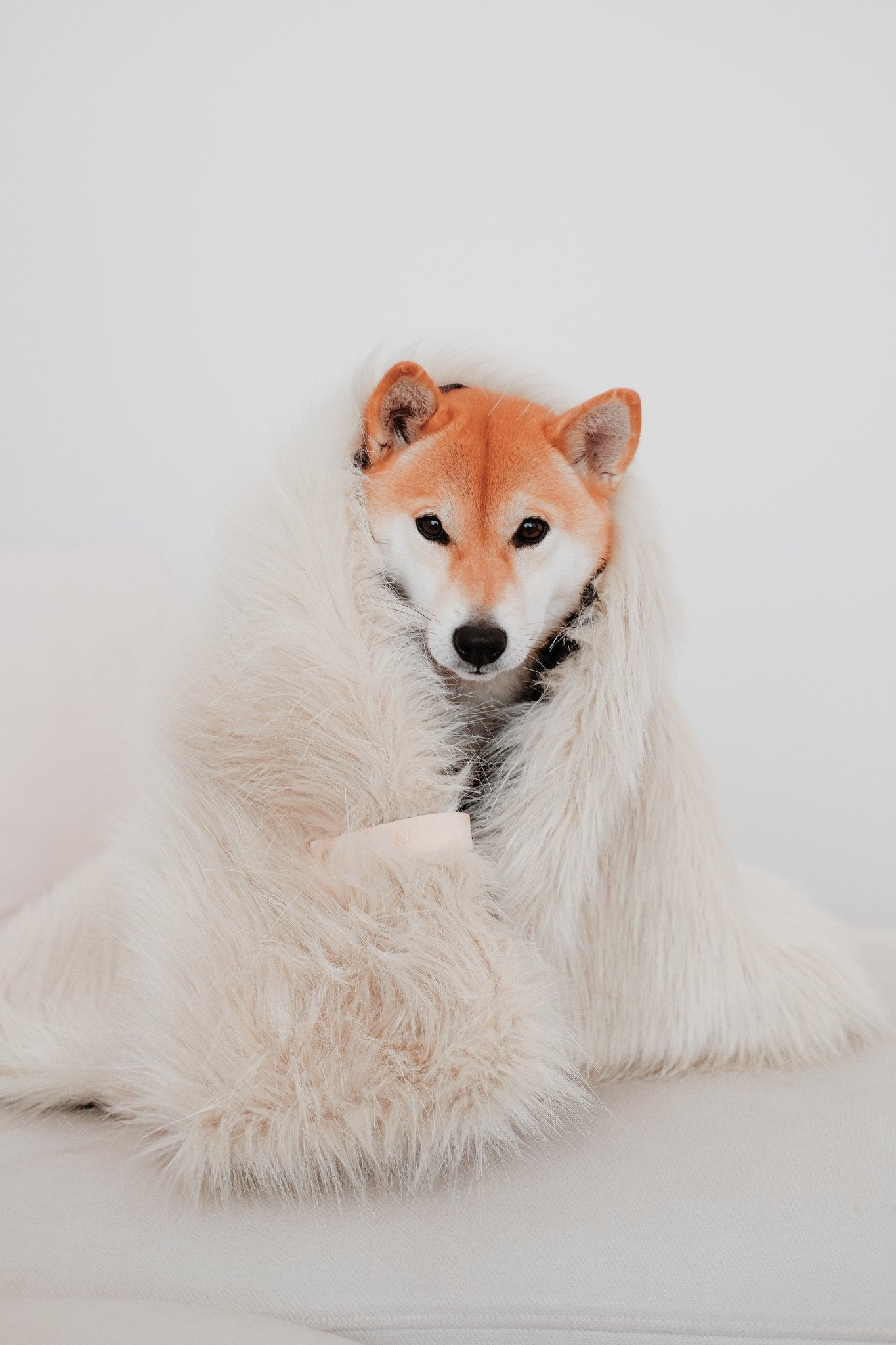 Föra | Couverture greige double face douce et chaude pour chien - Jean - Poil - Greige