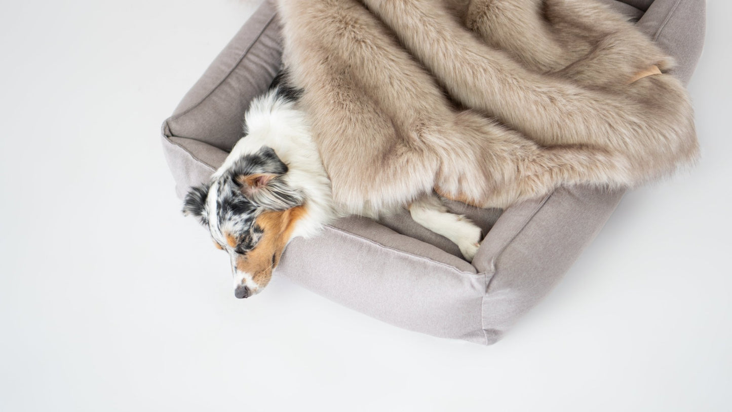 Föra | Couverture greige double face douce et chaude pour chien - Jean - Poil - Greige