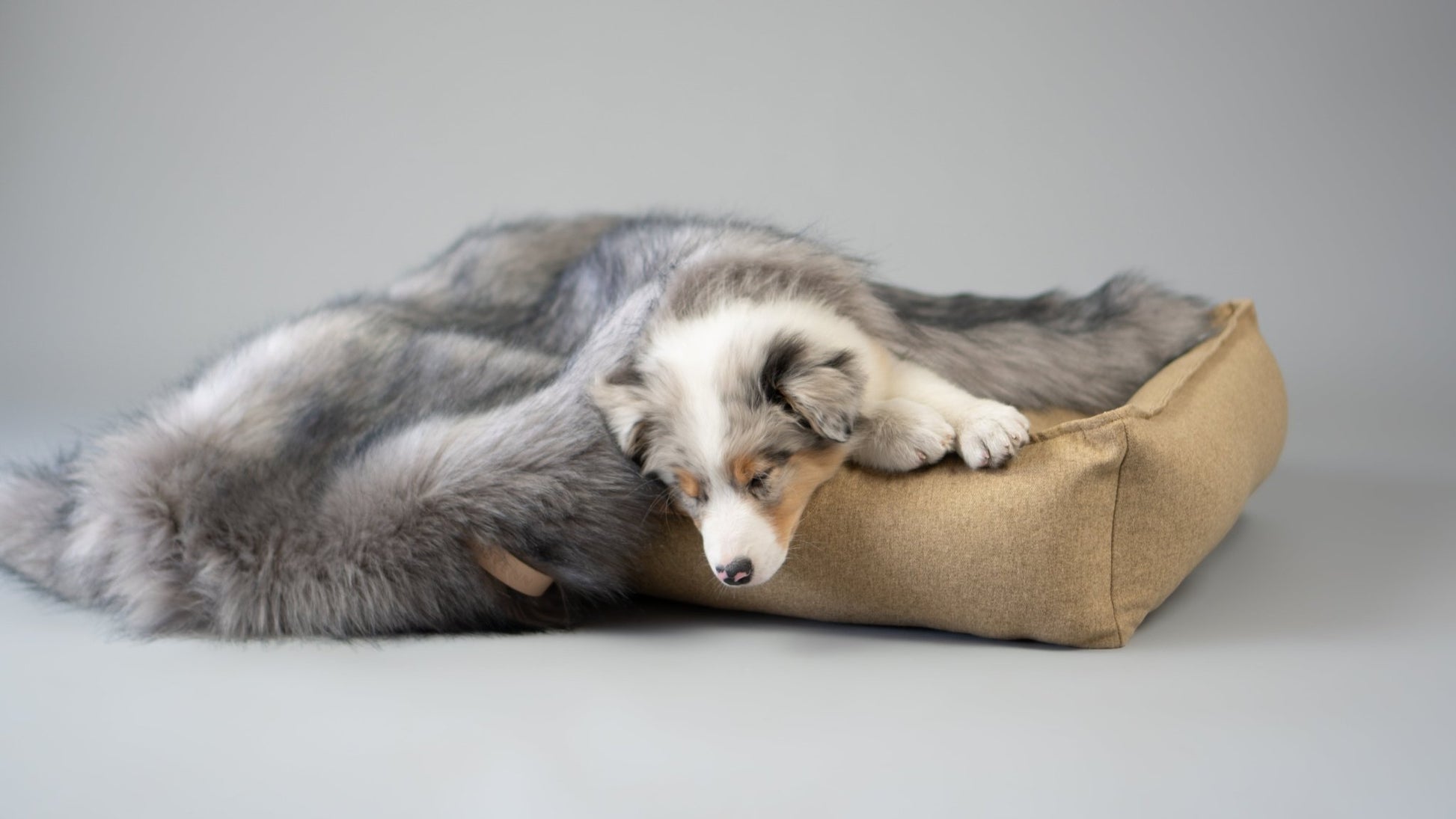 Föra | Couverture greige double face douce et chaude pour chien - Jean - Poil - Greige