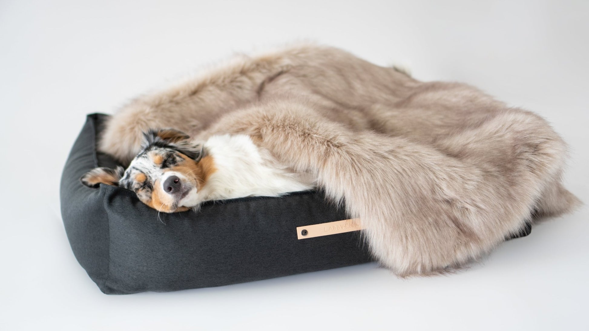 Föra | Couverture greige double face douce et chaude pour chien - Jean - Poil - Greige