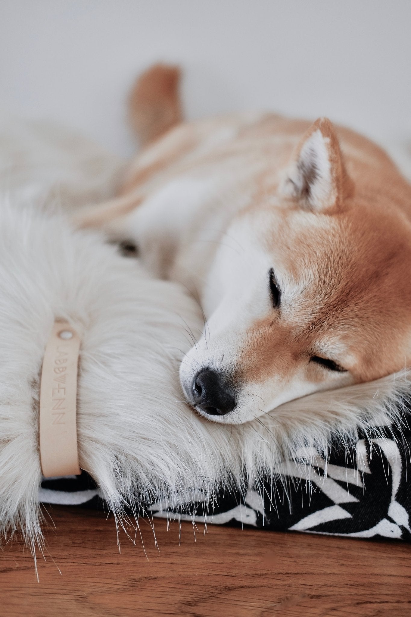 Föra | Couverture greige double face douce et chaude pour chien - Jean - Poil - Greige