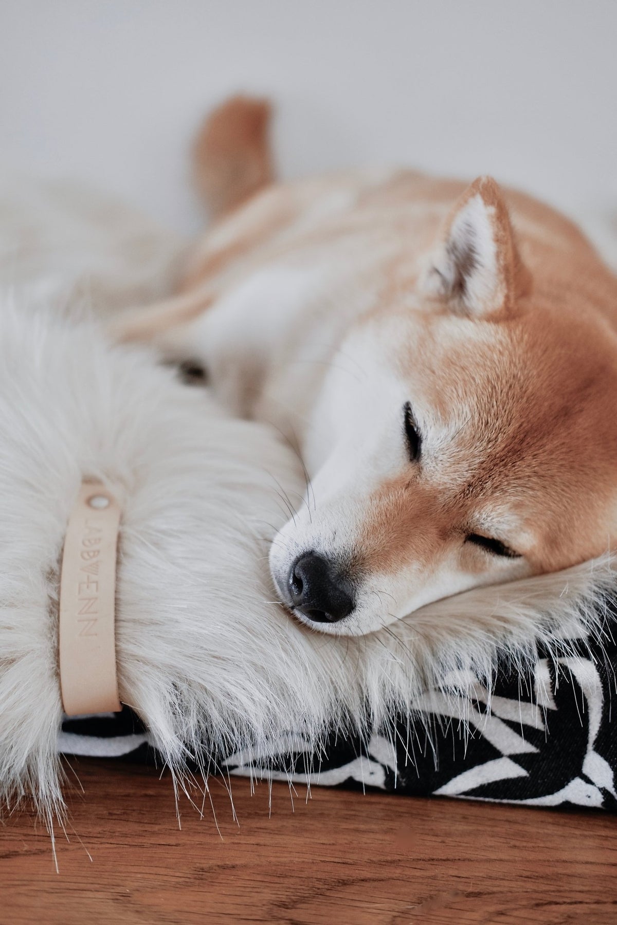 Föra | Couverture greige double face douce et chaude pour chien - Jean - Poil - Greige