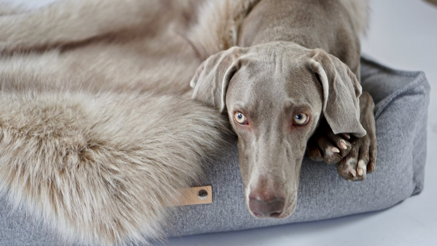Föra | Couverture greige double face douce et chaude pour chien - Jean - Poil - Greige
