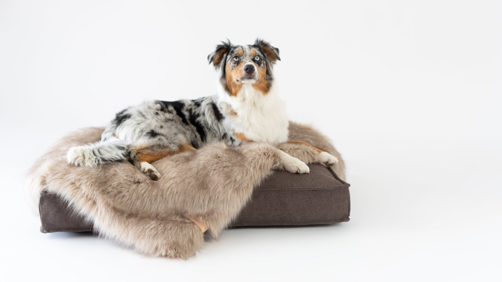 Föra | Couverture greige double face douce et chaude pour chien - Jean - Poil - Greige