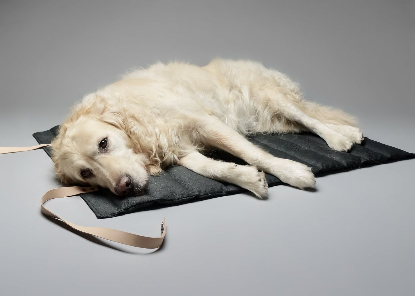 Fosser | Tapis de couchage nomade pour chien, pliable et transportable - Jean - Poil - Greige