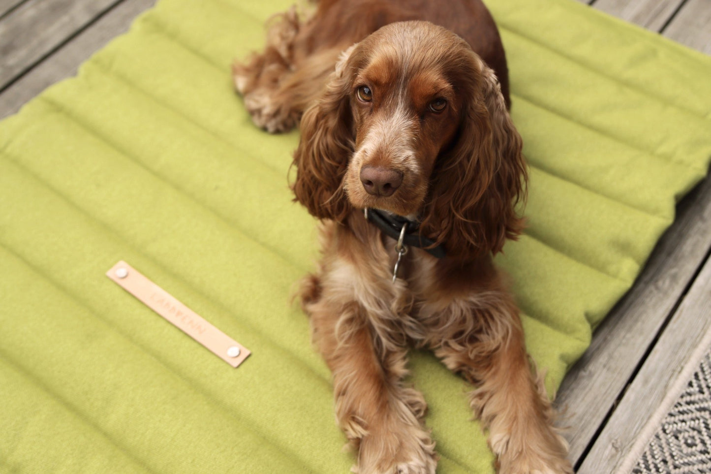 Fosser | Tapis de couchage nomade pour chien, pliable et transportable - Jean - Poil - Greige