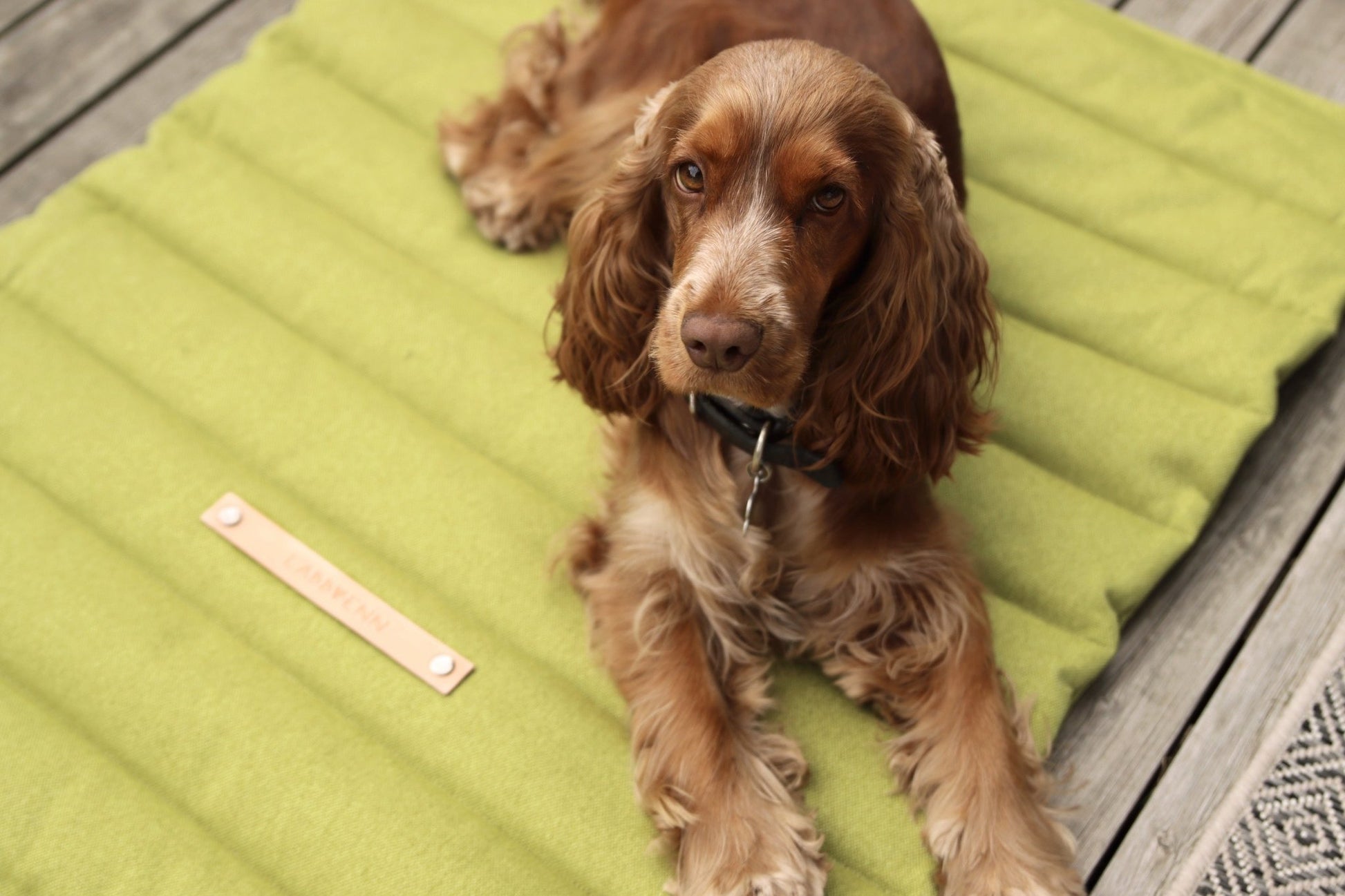 Fosser | Tapis de couchage nomade pour chien, pliable et transportable - Jean - Poil - Greige