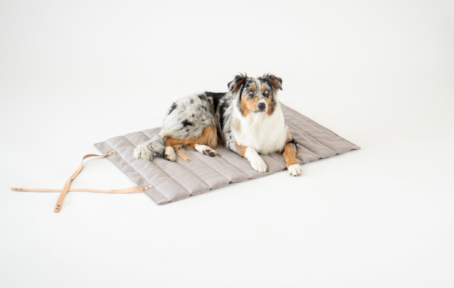 Fosser | Tapis de couchage nomade pour chien, pliable et transportable - Jean - Poil - Greige