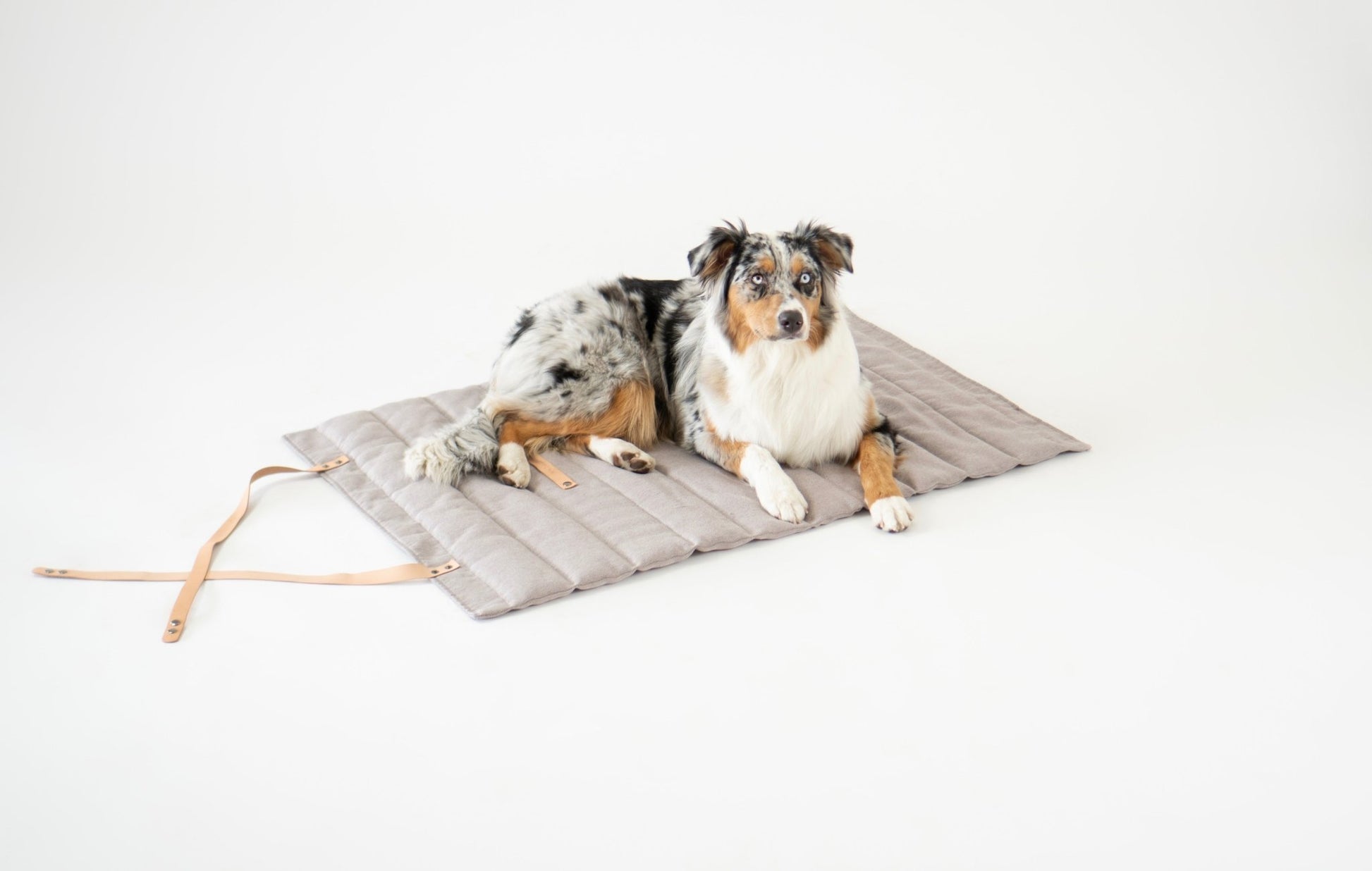 Fosser | Tapis de couchage nomade pour chien, pliable et transportable - Jean - Poil - Greige