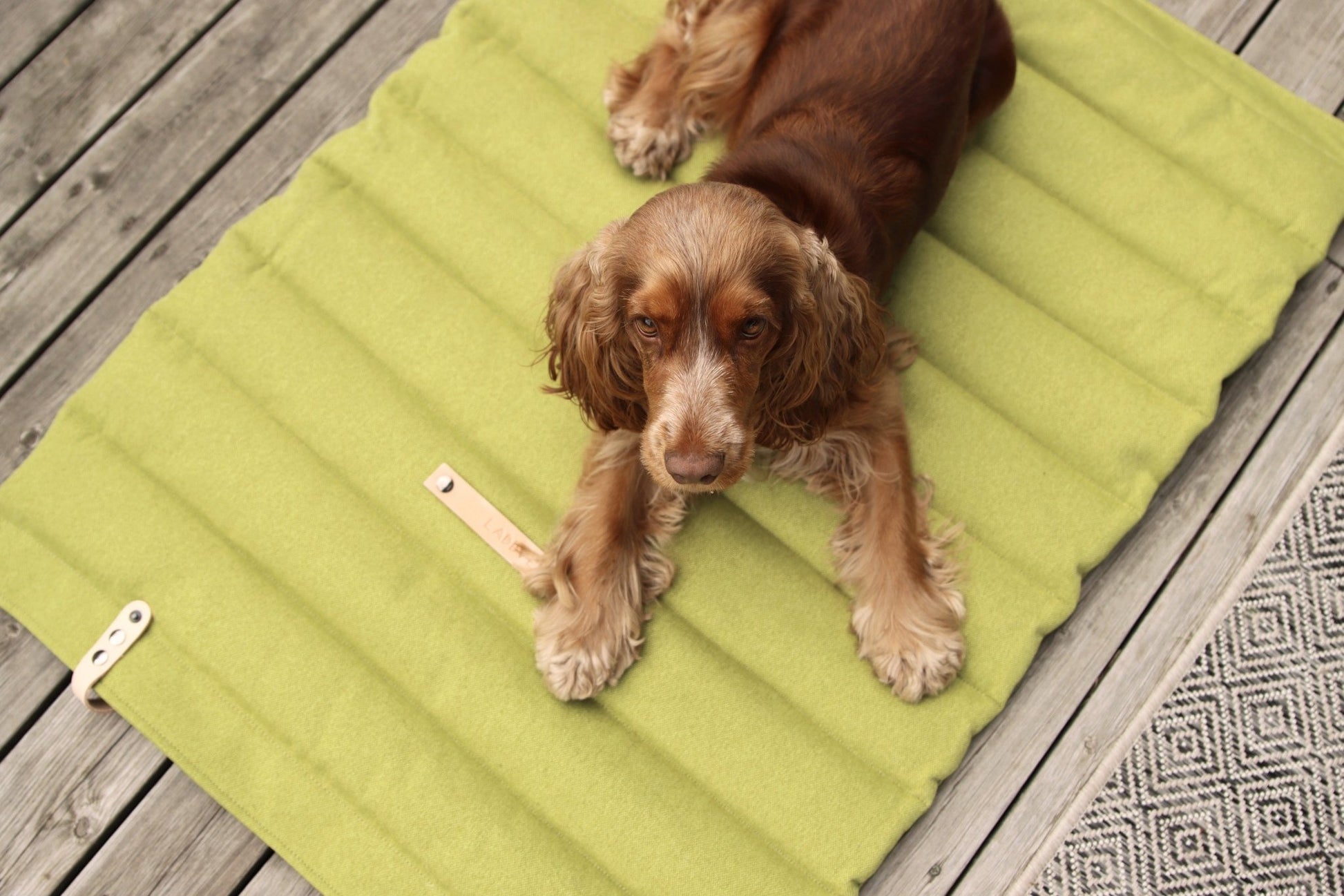Fosser | Tapis de couchage nomade pour chien, pliable et transportable - Jean - Poil - Greige