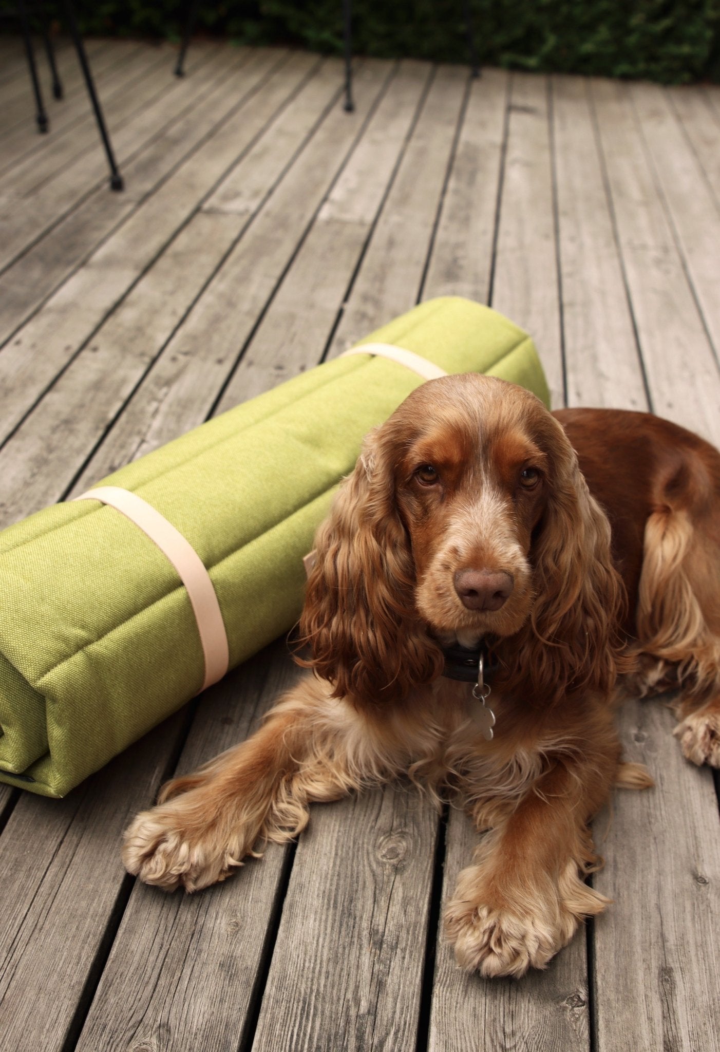 Fosser | Tapis de couchage nomade pour chien, pliable et transportable - Jean - Poil - Greige