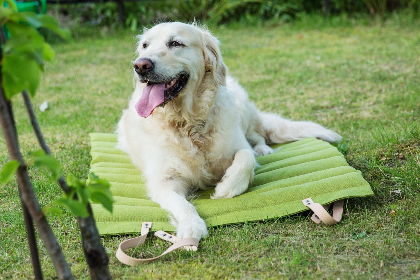 Fosser | Tapis de couchage nomade pour chien, pliable et transportable - Jean - Poil - Greige