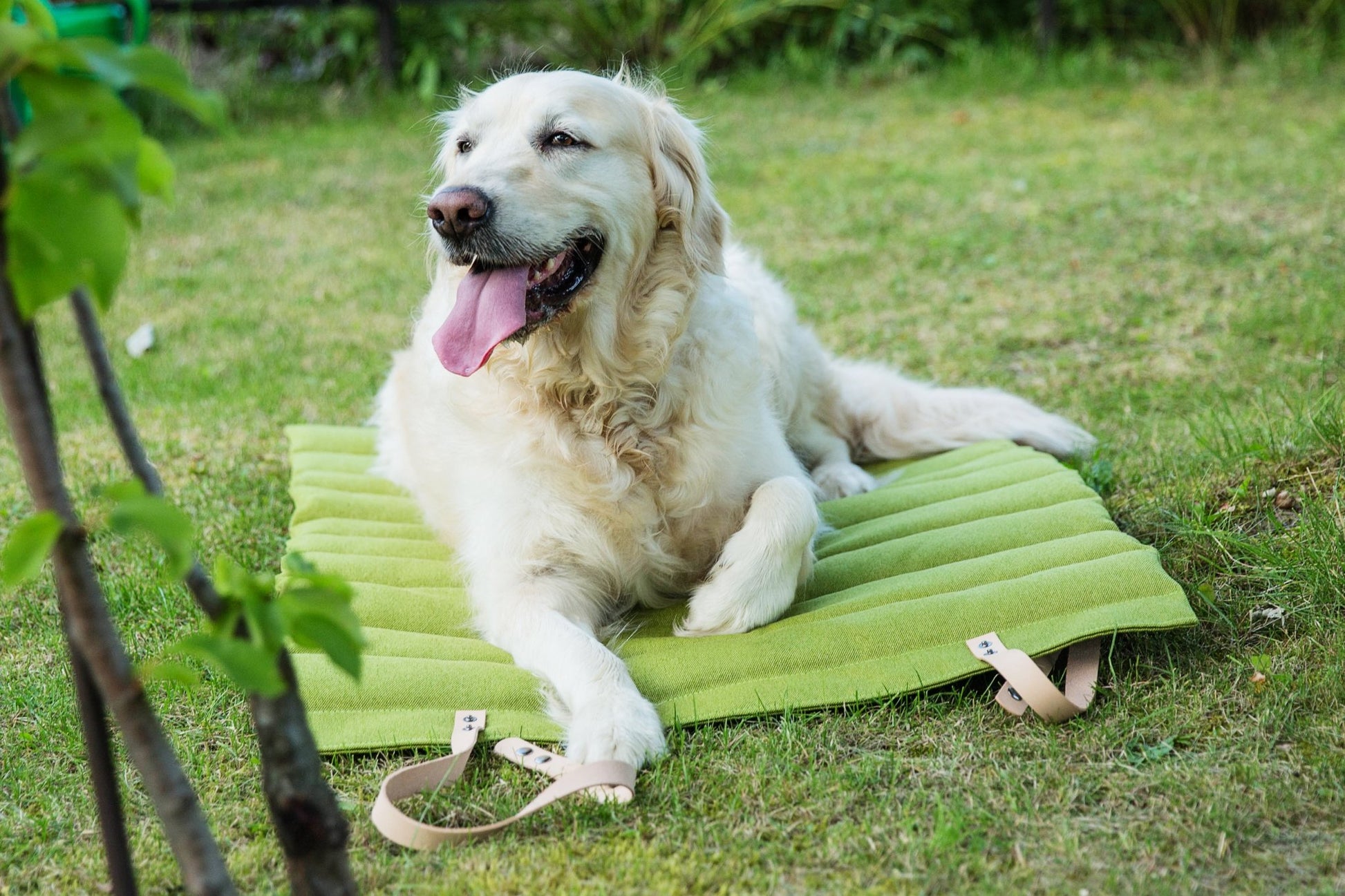 Fosser | Tapis de couchage nomade pour chien, pliable et transportable - Jean - Poil - Greige
