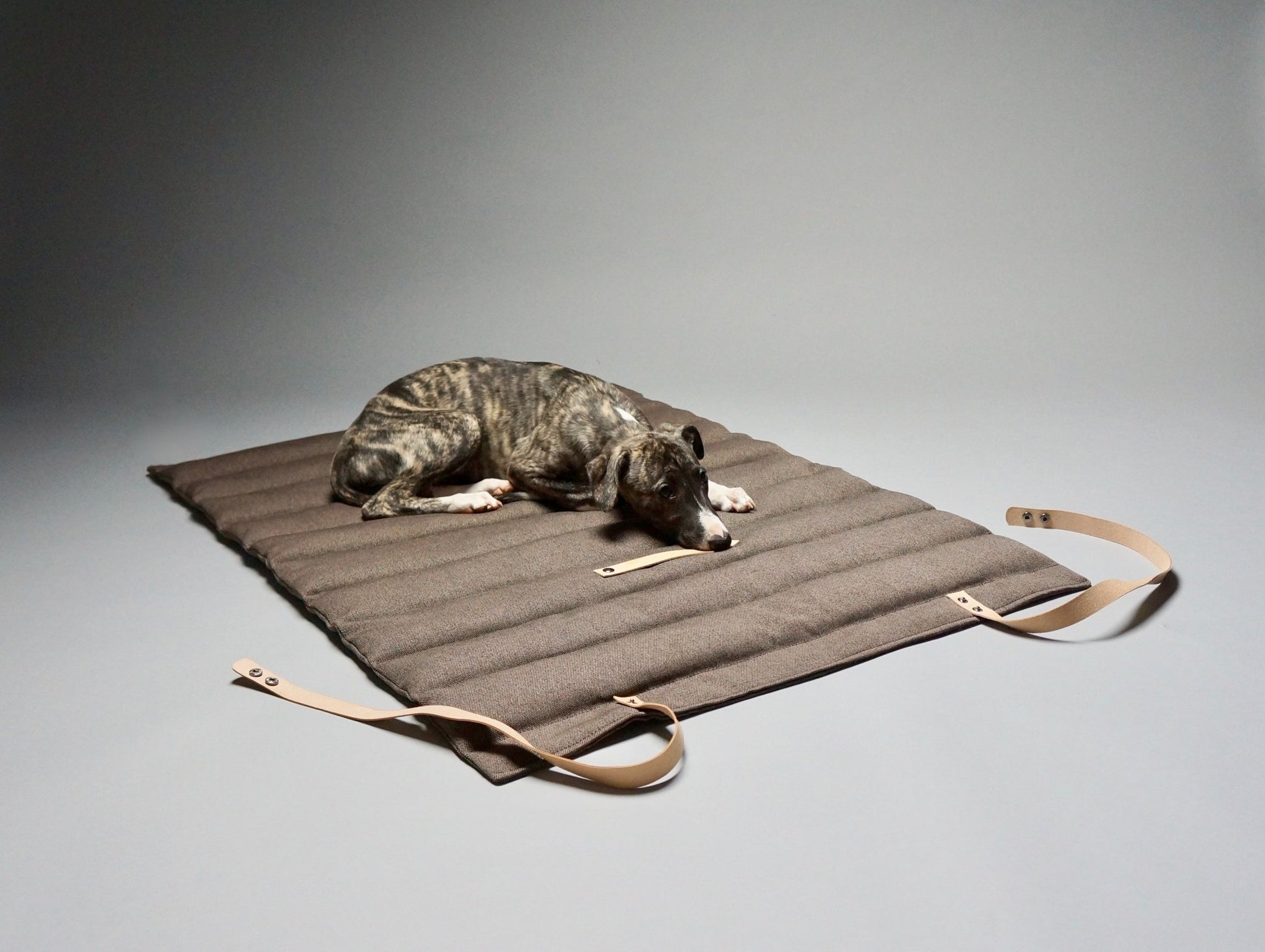 Fosser | Tapis de couchage nomade pour chien, pliable et transportable - Jean - Poil - Greige