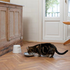 Gamelle plate en porcelaine pour chat - Jean - Poil - Gris
