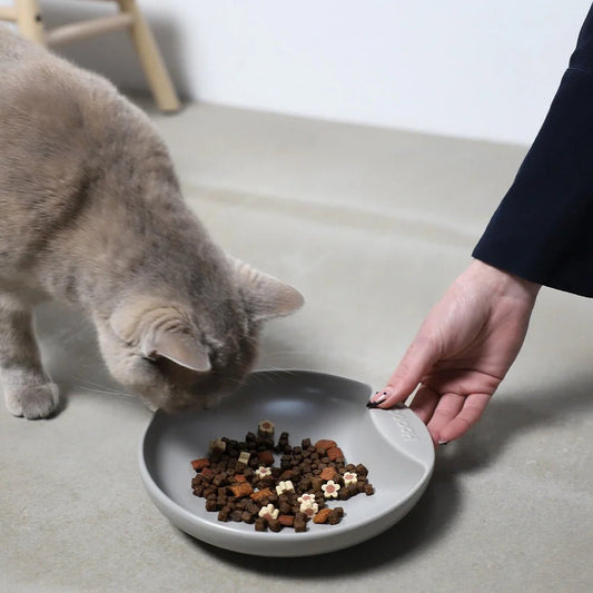Gamelle plate en porcelaine pour chat - Jean - Poil - Gris