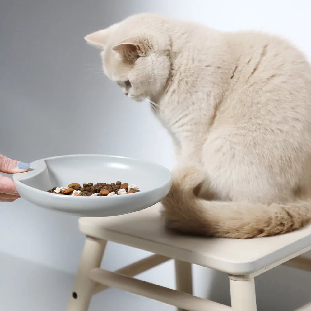 Gamelle plate en porcelaine pour chat - Jean - Poil - Gris