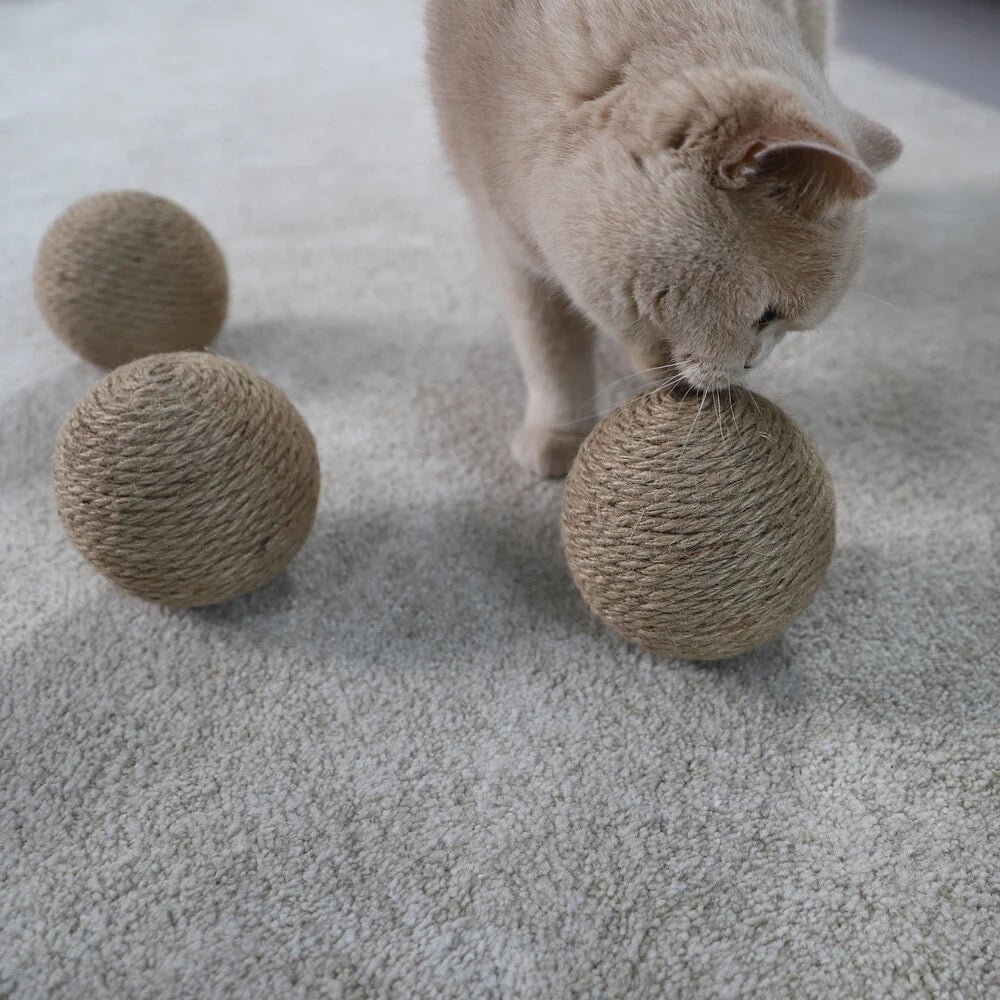 Globes | Jouets en sisal pour chat, lot de 3 - Jean - Poil - 