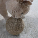 Globes | Jouets en sisal pour chat, lot de 3 - Jean - Poil - 