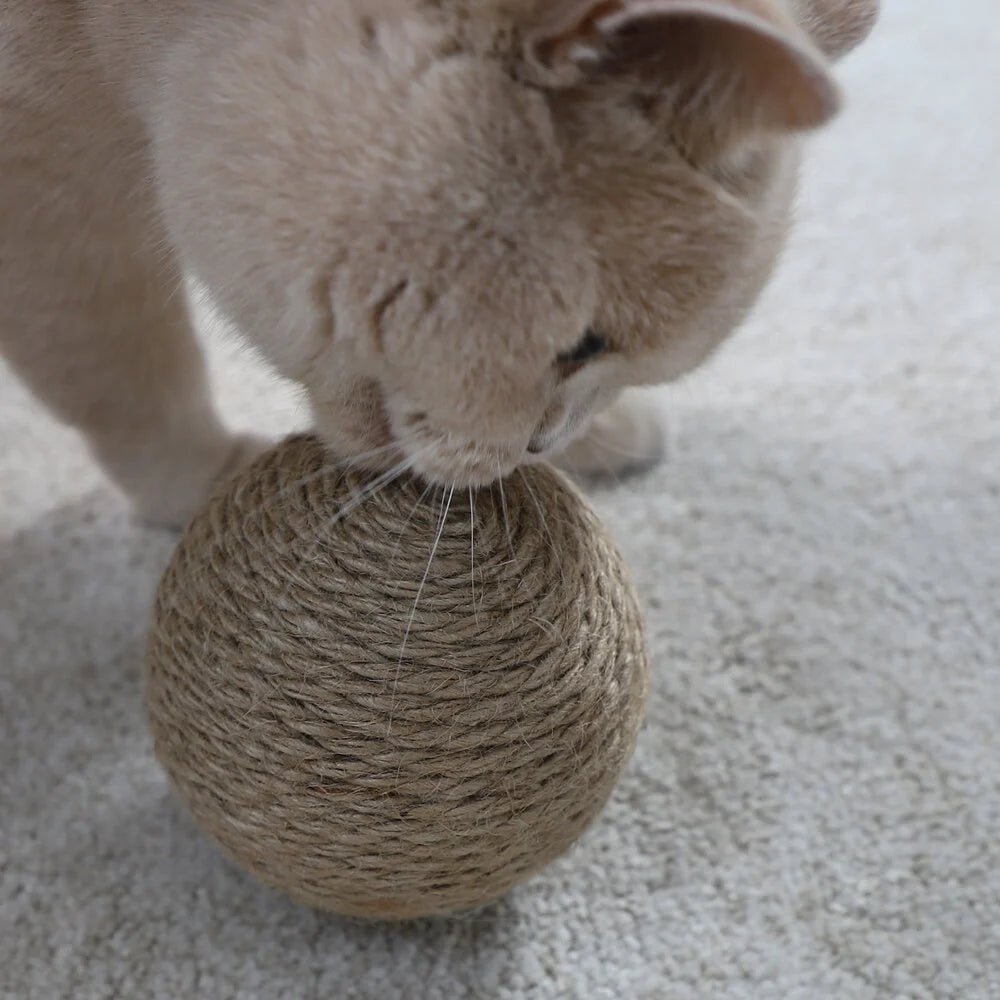 Globes | Jouets en sisal pour chat, lot de 3 - Jean - Poil - 