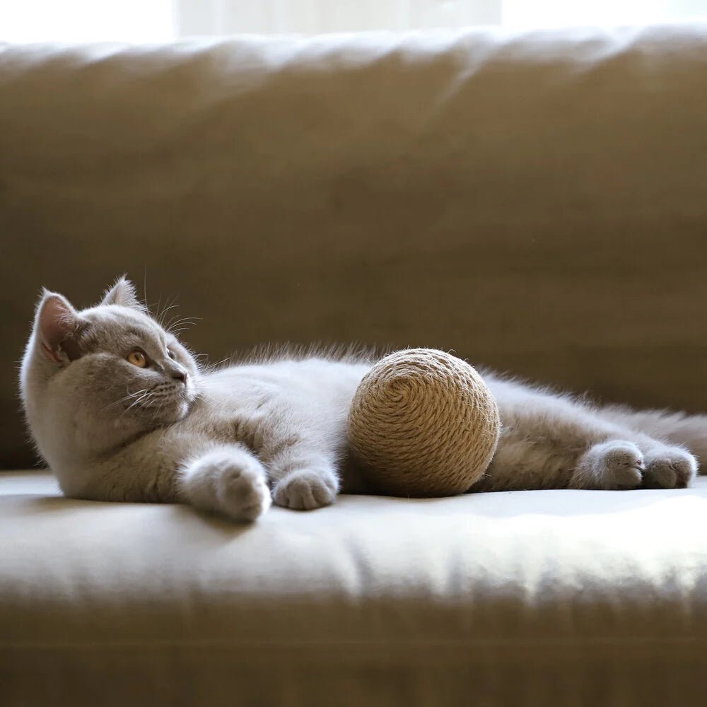 Globes | Jouets en sisal pour chat, lot de 3 - Jean - Poil - 