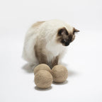 Globes | Jouets en sisal pour chat, lot de 3 - Jean - Poil - 