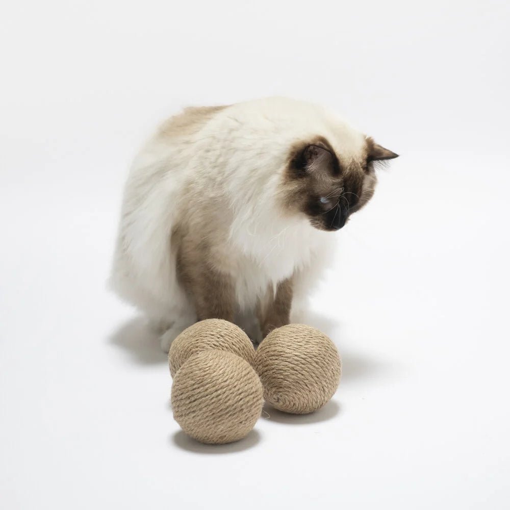 Globes | Jouets en sisal pour chat, lot de 3 - Jean - Poil - 