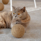 Globes | Jouets en sisal pour chat, lot de 3 - Jean - Poil - 