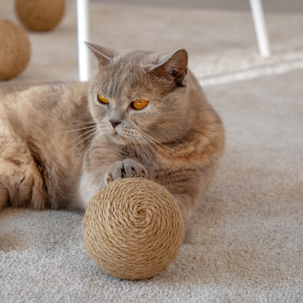 Globes | Jouets en sisal pour chat, lot de 3 - Jean - Poil - 