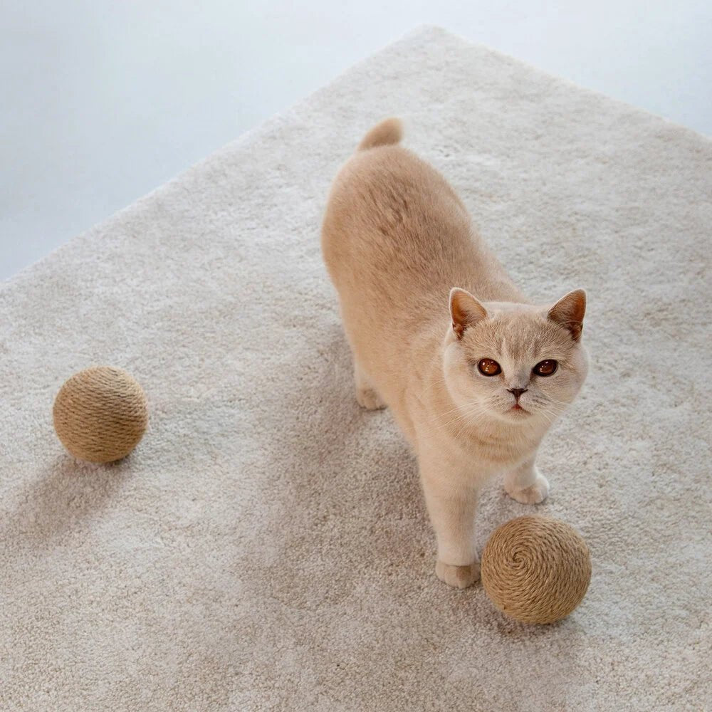 Globes | Jouets en sisal pour chat, lot de 3 - Jean - Poil - 