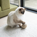 Globes | Jouets en sisal pour chat, lot de 3 - Jean - Poil - 