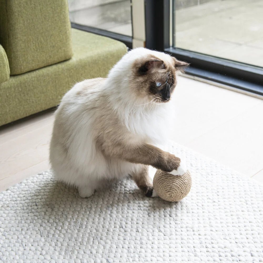 Globes | Jouets en sisal pour chat, lot de 3 - Jean - Poil - 