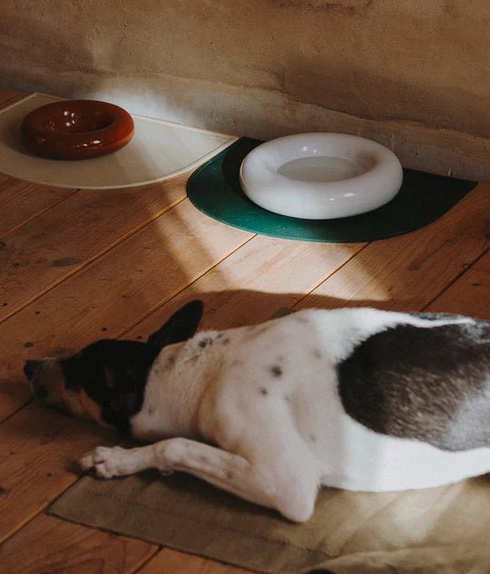 Hotdog | Gamelle en céramique artisanale jaune pour chat - Jean - Poil - Blanc
