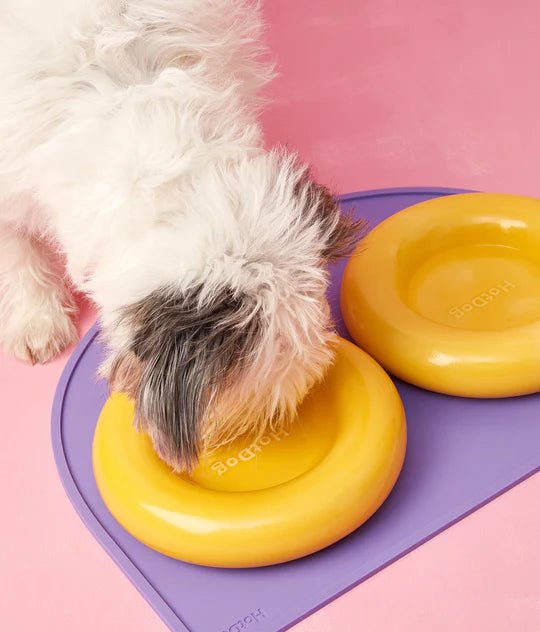 Hotdog | Gamelle en céramique artisanale jaune pour chat - Jean - Poil - Jaune