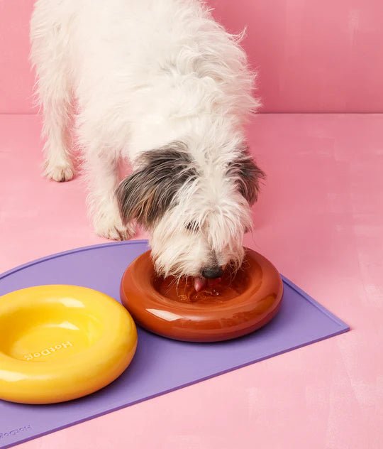 Hotdog | Gamelle en céramique artisanale jaune pour chat - Jean - Poil - Jaune
