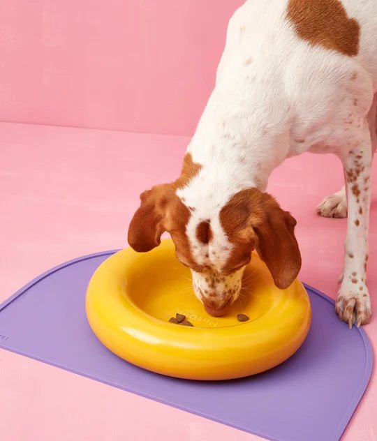 Hotdog | Gamelle en céramique artisanale jaune pour chat - Jean - Poil - Jaune