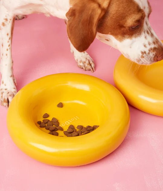 Hotdog | Gamelle en céramique artisanale jaune pour chat - Jean - Poil - Jaune