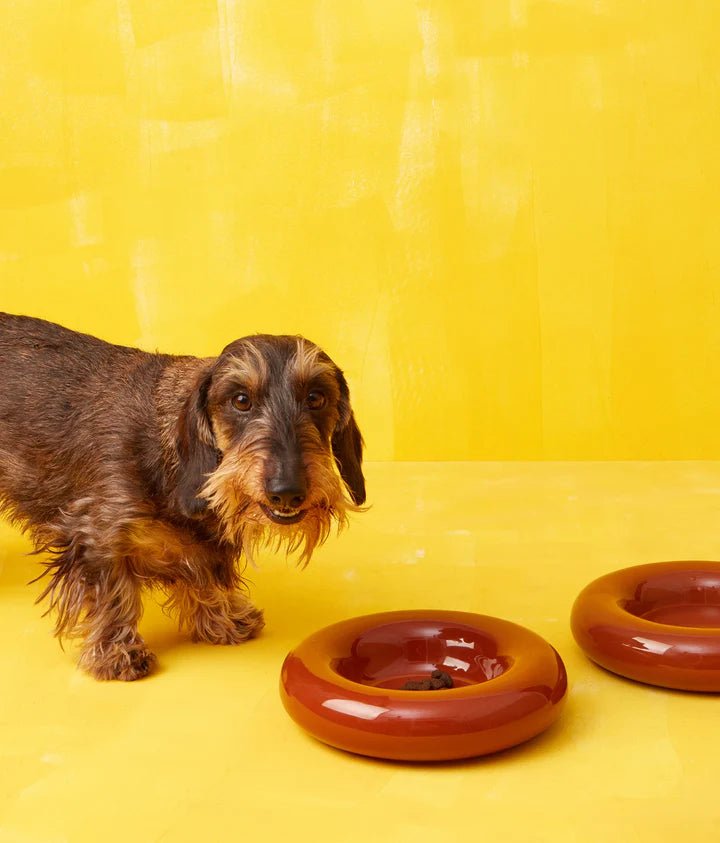 Hotdog | Gamelle en céramique artisanale jaune pour chat - Jean - Poil - Marron
