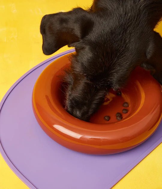 Hotdog | Gamelle en céramique artisanale jaune pour chat - Jean - Poil - Marron