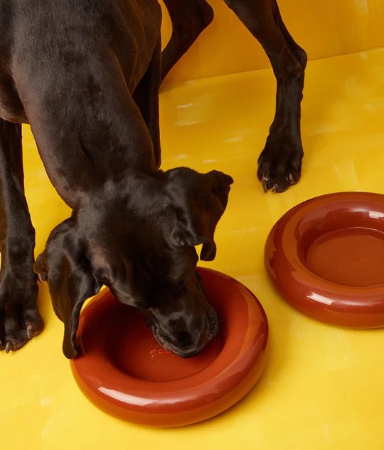 Hotdog | Gamelle en céramique artisanale jaune pour chat - Jean - Poil - Marron