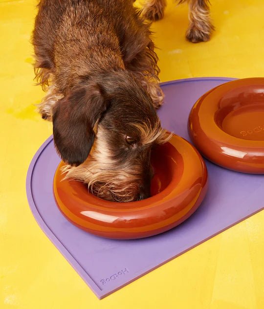 Hotdog | Gamelle en céramique artisanale jaune pour chat - Jean - Poil - Marron