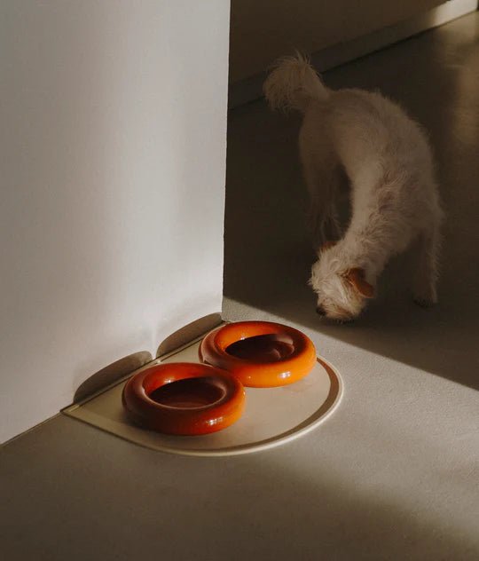 Hotdog | Gamelle en céramique artisanale jaune pour chat - Jean - Poil - Marron