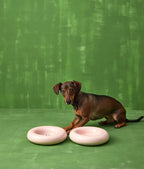 Hotdog | Gamelle en céramique artisanale jaune pour chat - Jean - Poil - Rose