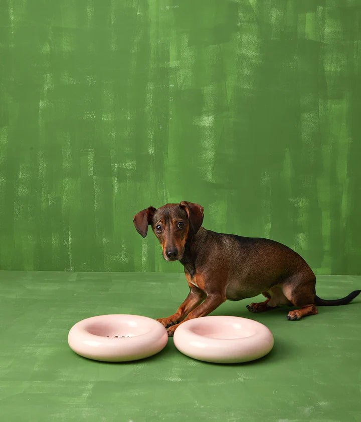Hotdog | Gamelle en céramique artisanale jaune pour chat - Jean - Poil - Rose