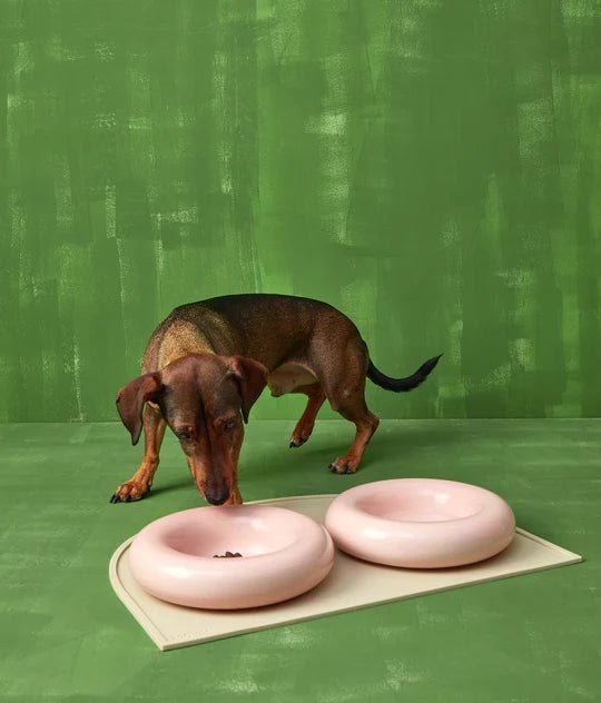 Hotdog | Gamelle en céramique artisanale jaune pour chat - Jean - Poil - Rose