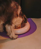 Hotdog | Gamelle en céramique artisanale jaune pour chat - Jean - Poil - Rose